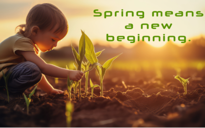 Spring Meaning and Traditions